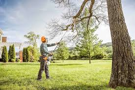 Seasonal Cleanup in Hallettsville, TX